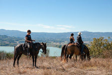 Italy-Umbria-Parelli Natural Horsemanship & Trails in Umbria